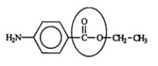 <strong>Benzocaine is from a family of chemicals that are good local anesthetics. Identify the functional group circled.  </strong> A) aldehyde B) ketone C) ester D) carboxylic acid E) carbonyl <div style=padding-top: 35px> 