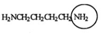 <strong>Putrescine is produced during the decay and protein breakdown of meats and is responsible for some of the odor found in them. Identify the functional group circled.  </strong> A) aldehyde B) ketone C) amide D) nitrile E) amine <div style=padding-top: 35px> 