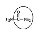 <strong>Urea carries waste nitrogen from the body in urine. Identify the functional group circled.  </strong> A) aldehyde B) alcohol C) carboxyl D) amine E) amide <div style=padding-top: 35px> 