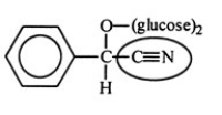 <strong>Amygdalin (Laetrile) was once touted for its potential anticancer activity. However, the claims were never scientifically verified. Identify the functional group circled.  </strong> A) carbonite B) ether C) amide D) amine E) nitrile <div style=padding-top: 35px> 