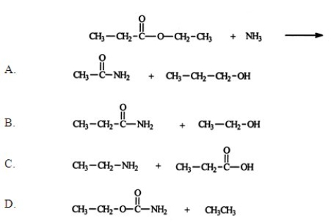 <strong>Identify the two principal products of the reaction between ammonia and ethyl propionate.  </strong> A) A B) B C) C D) D E) None of the above is a major product of the reaction. <div style=padding-top: 35px> 