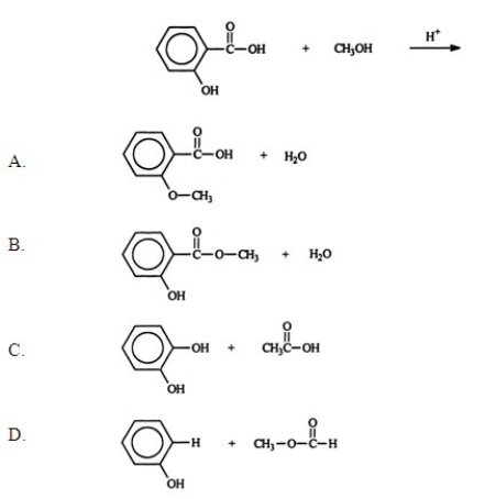 Identify the products of the following reaction.  