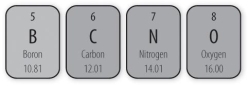 The electronegativity of an atom is determined by how strongly outermost electrons are pulled toward the nucleus.Somewhat like gravity,the electronegativity will be stronger in atoms with larger nuclei and closer outermost electrons.Which element has the strongest electronegativity?