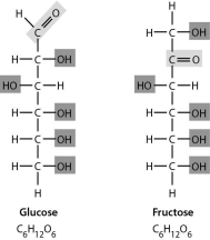Examine the two sugars in the following figure.How do these two sugars compare?
