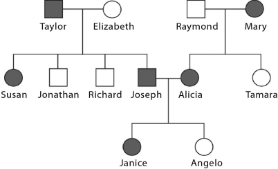 Please read the following scenario to answer the following questions. Widow's peak,a pointed hairline on the forehead,is a genetic trait caused by a dominant allele.It can be traced back through a family's history using pedigree analysis. The pedigree shown here is of three generations of a family.Notice that some individuals (shown in gray)have a widow's peak (W = dominant allele and w = recessive allele). -Janice's genotype is ________.