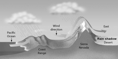 <strong>Examine the figure below.Globally,the largest amount of water moves from ________. </strong> A)the oceans to the atmosphere by evaporation B)land to the atmosphere by evaporation and transpiration C)the atmosphere to land by precipitation D)land to the oceans by surface and groundwater runoff