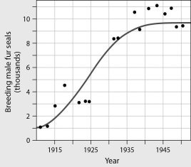<strong>When did male fur seals reach carrying capacity? </strong> A)1915 B)1930 C)1940 D)1950