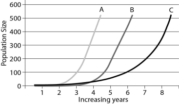 <strong>This graph represents three different populations.Use it to answer the following questions. Which population is growing at the fastest rate?</strong> A)Population A B)Population B C)Population C D)They are all growing at the same rate.