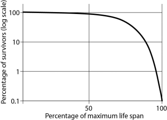 <strong>This graph represents three different populations.Use it to answer the following questions. Which of the following choices matches this figure? </strong> A)Dolphins produce only single offspring at a time and provide parental care for many months. B)During mating frenzies, male and female squid aggregate and release hundreds of eggs and sperm into the water column.The fertilized eggs are often quickly preyed on by fish. C)The century plant grows for many years and reproduces and releases hundreds of seeds just once before it withers and dies.Because of the dry desert environment in which it lives,many of the seeds do not survive or are eaten. D)In some species of lizards and rodents,survivorship is constant over the life span.