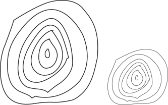Please refer to the following art of the cross-sections of two trees to answer the following questions. -How old are these trees?