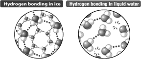 Based only on the following illustration,it could be predicted that ice floats on liquid water because