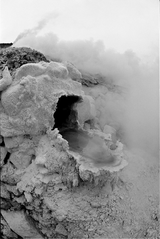 <strong>The following photograph shows Sulfolobus,an archaean that lives in environments with very high temperatures. What hypothesis can explain the extreme habitats of the archaeans?</strong> A) They came to Earth from other planets, where harsher conditions prevail. B) They would be more widespread but are unable to successfully compete with bacteria and now occupy habitats where bacteria cannot live. C) Archaeans evolved earlier than bacteria when Earth was much less hospitable and are now relegated to those habitats most similar to early Earth. D) Archaeans evolved after all the more hospitable habitats were populated with protists.