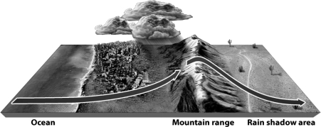 <strong>The following figure illustrates the rain shadow effect. What best explains why the leeward side of the mountain experiences less rainfall?</strong> A) The air mass simply has no more moisture; it was all released on the windward slope. B) The mountain range is too tall for the clouds to pass. C) Cold air on the windward side causes the clouds to sink before they cross the mountain range. D) The leeward side is so warm that the moisture falling from the clouds evaporates before it hits the ground.