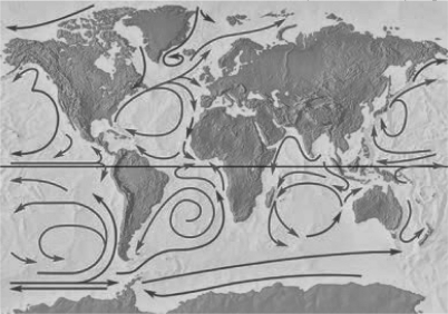 <strong>Some floating plastic toys were released accidentally in the Pacific Ocean in 1992 and were seen in the North Atlantic in 2000 near where the Titanic sank off Newfoundland.Given the general ocean currents in the Atlantic,where would you most likely expect these toys to appear next? </strong> A) on the east coast of South America B) on the west coast of southern Africa C) on the west coast of Britain D) in the Caribbean Ocean