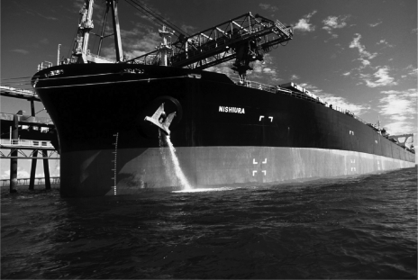 Dumping ballast water,such as this ship is doing,has the potential to introduce new organisms to aquatic environments far from their native habitats,but no organisms have been transferred this way so far.
