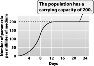 <strong>The following graph shows the growth of a Paramecium population. The greatest amount of daily growth occurred when the population was at approximately ________ percent of its carrying capacity.</strong> A) 10 B) 25 C) 50 D) 100