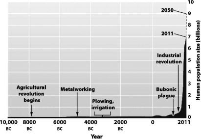 <strong>The following figure shows that the human population was small and relatively stable for nearly 12,000 years but has increased dramatically in the past 200 years. How might this increase in population growth be explained?</strong> A) Effective methods of intercontinental travel permitted humans to immigrate to locations better suited to support larger populations. B) For most of human history, people were too malnourished to have many children. C) People simply chose to have fewer children and smaller families in the past than at present. D) Prior human populations were at existing carrying capacities, but newly developed technologies have raised the carrying capacity and permitted the recent expansion.