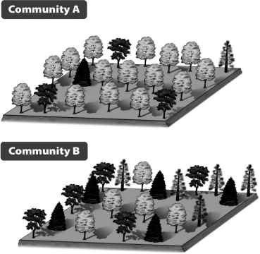 <strong>In comparing Communities A and B below,the major difference between them is that they differ in </strong> A) species richness. B) relative species abundance. C) that Community A has more primary producers than does Community B. D) that Community B has more primary producers than does Community A.