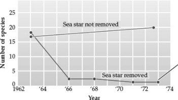 <strong>As shown in the following graph,selected intertidal communities along the Washington coast changed when the sea star Pisaster ochraceus was removed.After 10 years,how did those communities compare to control communities? </strong> A) The communities were statistically indistinguishable from one another. B) Without sea stars, the total number of species declined. C) Other predatory sea stars replaced Pisaster. D) Some populations declined, but species diversity was unaffected.