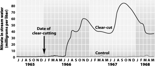 <strong>In the Hubbard Brook Experimental Forest in New Hampshire,a portion of the forest was first clear-cut,then sprayed with herbicides for 3 years to prevent growth.A second portion of the forest was not clear-cut or sprayed and served as a control plot.The following graph shows that nitrate,a form of nitrogen that is important to plants,was lost from the ecosystem in streams at a much higher rate in the clear-cut portion of the forest than in the control portion. What best explains the small releases of nitrogen from the control portion of the forest at the Hubbard Brook Experimental Forest?</strong> A) Its nitrogen was sequestered in the forest biomass and temporarily unavailable. B) With intact vegetation to intercept the acid rain that falls in the area, it failed to reach the soil and chemically react to release the nitrogen. C) With intact vegetation, rainwater washed little soil and nitrogen from the forest floor. D) Pesticides from the clear-cut areas seeped into the control area.