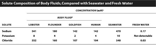 <strong>Examine the table below.   Based on the data in this table,which organism is most likely to be an osmoconformer? (Note that lobsters and flounders live in seawater and goldfish live in fresh water. )</strong> A) lobster B) flounder C) goldfish D) humans <div style=padding-top: 35px> 