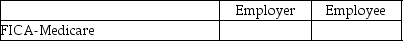 Given the following payroll items you are to identify whether they are the expense of the employer and/or the employee by placing an X in the appropriate column. -