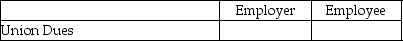 Given the following payroll items you are to identify whether they are the expense of the employer and/or the employee by placing an X in the appropriate column. -