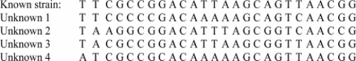 You have amplified four unique sequences using PCR of the SSU rRNA gene from unknown microorganisms. Calculate the percent relatedness of each in comparison with the known sequence given to determine which strain(s) is/are most phylogenetically related.