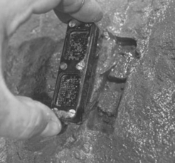 In order to grow unculturable environmental microbes, Kim Lewis and colleagues derived the iChip. What is the purpose of this device?