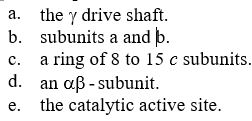 The Fₒ portion of Escherichia coli ATP synthase that rotates while translocating protons is