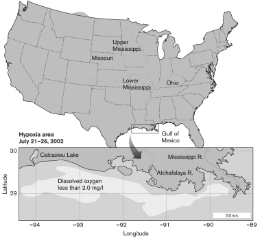 <strong>What is the cause of the highlighted zone with dissolved oxygen less than 2.0 mg/l?  </strong> A) high carbon and nitrogen concentrations B) high iron concentrations C) low oxygen concentrations D) high phosphorus concentrations E) the Deepwater Horizon oil spill <div style=padding-top: 35px> 