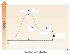 In the energy diagram shown below, the \Delta H of the reaction is labeled by D.