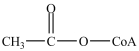 <strong>Which is the abbreviated structure of acetyl CoA?</strong> A) B) C) D)