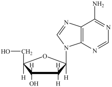 <strong>What is the name of the nucleoside shown? </strong> A)hydroadenine B)deoxyadenosine C)deoxyguanosine D)hydroguanine