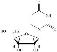 <strong>What is the name of the nucleoside shown? </strong> A)uridine B)uridosine C)oxyuridine D)oxyuridosine