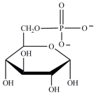 <strong>Which structure represents a nucleotide?</strong> A) B) C) D)