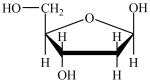 <strong>Which structure represents a nucleotide?</strong> A) B) C) D)