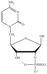<strong>Which structure represents a nucleotide?</strong> A) B) C) D)