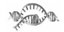In the transcription cartoon shown, the direction of transcription is from right to left.