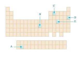 <strong>In the diagram below, which highlighted element is an f block element? </strong> A)A B)B C)C D)D E)E