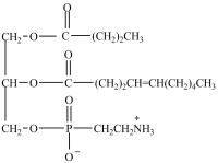<strong>Which structure is a prostaglandin?</strong> A) B) C) D)