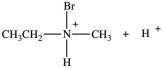 <strong>What are the products in the acid-base reaction shown below? </strong> A) B) C) D)