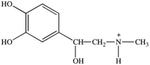 <strong>At the pH of the aqueous environment of the cells, amines exist in their ionized (charged)form. Which of the following properly represents how epinephrine exists in the cell? </strong> A) B) C) D)