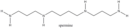 <strong>Spermine is a compound isolated from sperm. Which of the following statements correctly describes an aqueous solution of spermine? </strong> A)The pH of the solution would be equal to that of pure water. B)The hydronium ion concentration in the solution would be greater than that in pure water. C)The hydroxide ion concentration in the solution would be greater than that in pure water. D)The solution would be acidic.