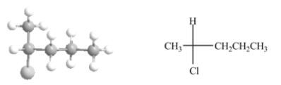 The Fischer projection shown on the right properly represents the ball and stick model of the compound shown on the left.