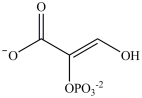 <strong>Alcohol dehydration reactions are important biological reactions. For example, 2-phosphogylcerate undergoes dehydration in the glycolysis pathway to produce phosphoenolpyruvate. Which structure represents the product that results when 2-phosphoglycerate is dehydrated? </strong> A) B) C) D)