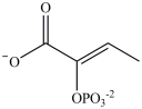 <strong>Alcohol dehydration reactions are important biological reactions. For example, 2-phosphogylcerate undergoes dehydration in the glycolysis pathway to produce phosphoenolpyruvate. Which structure represents the product that results when 2-phosphoglycerate is dehydrated? </strong> A) B) C) D)