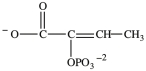 <strong>Alcohol dehydration reactions are important biological reactions. For example, 2-phosphogylcerate (shown below)undergoes dehydration in the glycolysis pathway to produce phosphoenolpyruvate. Which structure represents the product that results when 2-phosphoglycerate is dehydrated? </strong> A) B) C) D)