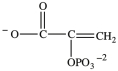 <strong>Alcohol dehydration reactions are important biological reactions. For example, 2-phosphogylcerate (shown below)undergoes dehydration in the glycolysis pathway to produce phosphoenolpyruvate. Which structure represents the product that results when 2-phosphoglycerate is dehydrated? </strong> A) B) C) D)