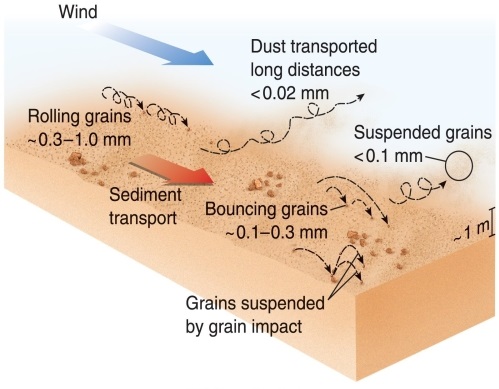 <strong>Figure 20.9   According to Figure 20.9 in your textbook, sediment grains that are about 0.1 to 0.3 millimeters will</strong> A) roll. B) bounce. C) be suspended. D) travel great distances. <div style=padding-top: 35px> 